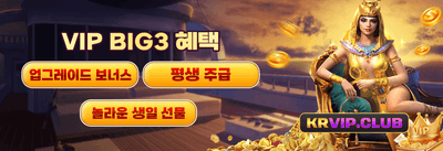 VIP 캐시백 프로그램 promotion
